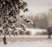 <i><b>Yağış, qar yağacaq, külək əsəcək - <font color=red> Sabahın havası</b></i></font>