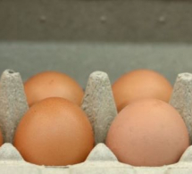 <i><b>Azərbaycanda yumurta satışına limit qoyulub? -<font color=red> VİDEO</b></i></font>