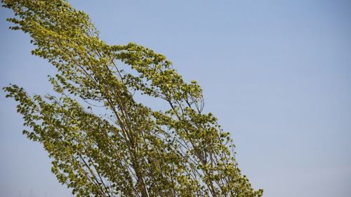 bitmap-img6