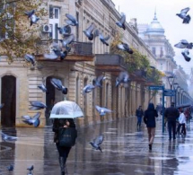 <i><b>Yağış yağacaq, güclü külək əsəcək -<font color=red> Sabahın havası</b></i></font>